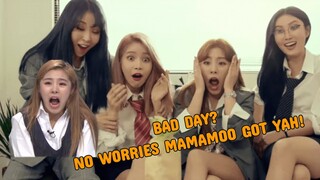 Mamamoo Moments to Clean up your Bad Day