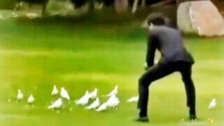 Precious footage of Gong Yoo taming pigeons in his early years