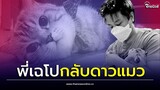 ทาสแมวเศร้า! "พี่เฉโป" แมวสุดกวนหยุดหายใจ กลับดาวแมว| Thainews - ไทยนิวส์