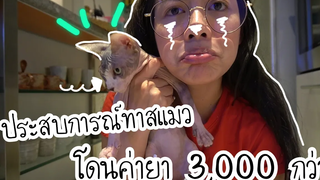 Ep18 แชร์* ประสบการณ์โดนค่ายา (ลูกแมวสฟิงซ์)ไป 3000 กว่า