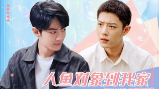 [Xiao Zhan Narcissus] Shuang Gu ‖ San Ran ‖ "The Mermaid Boyfriend Comes to My House" Episode 5 ‖ Sw