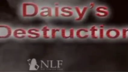 daisy's destruction intro