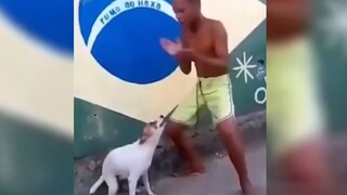 "Penuh dengan Adegan Terkenal"