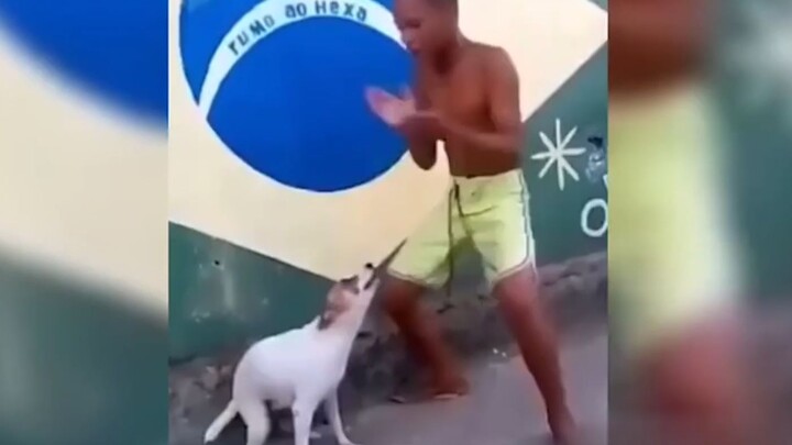 "Penuh dengan Adegan Terkenal"
