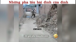 Những pha hài đỉnh của đỉnh#haihuoc#hài#tt