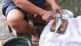 how to clean a milkfish 2022