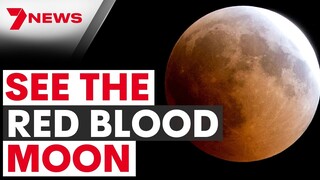 Blood moon lunar eclipse | How to watch the the flower moon | 7NEWS