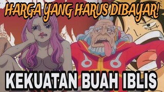 BUAH IBLIS PALING MENGURAS STAMINA - REVIEW ANIME (ONE PIECE)