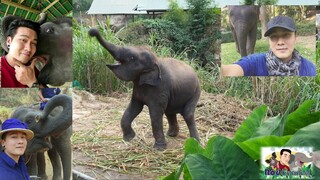 เจอกันเดือนหน้านะครับน้ำเพชรลูกรัก🐘