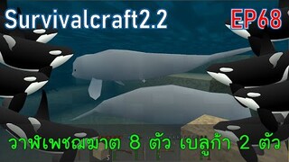 มีวาฬเพชฌฆาต 8 ตัว วาฬเบลูก้า 2 ตัว | survivalcraft2.2 EP68 [พี่อู๊ด JUB TV]