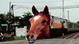 Kereta Api ini Lewat, Tapi Aneh Kepalanya Kuda Gaes.. 😱😂 , Funny Train