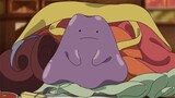 Have you ever seen such a cute Ditto?