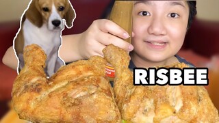 FRIED CHICKEN NA MALA-RISBEE | BEAGLE EATING SHOW