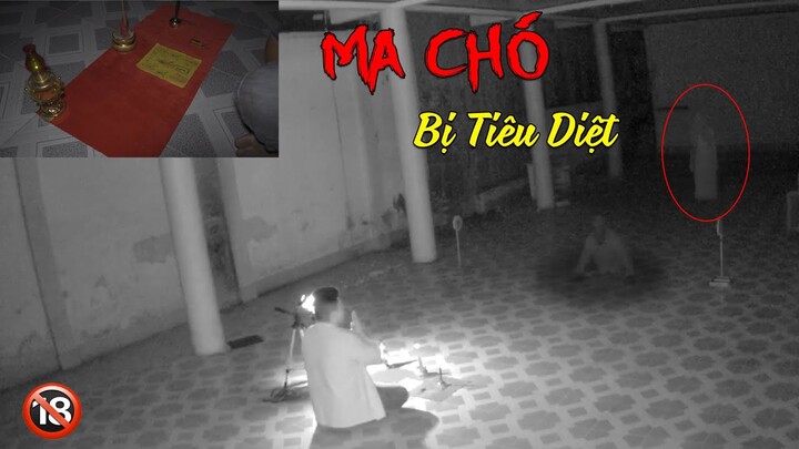 Linh Hồn MA CHÓ Bị Tiêu Diệt Tại Chùa Hoang | Phim Ma - Roma Vlogs