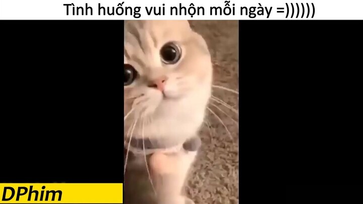 meow meow kiểu.... =))) #movies #memes