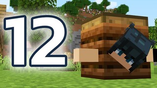 12 บั๊กข้อผิดพลาด (Glitches) ของเกม Minecraft 117