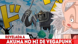 A AKUMA NO MI VEGAPUNK REVELADA E O MISTÉRIO DO SÉCULO PEDIDO EXPLICADO - One Piece 1067