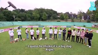 RUN BTS EP. 23 (ENGLISH SUB)