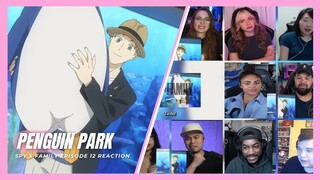SPY X FAMILY Episode 12 Reaction Mashup | スパイファミリー Ep 12 Reaction Mashup | A4L