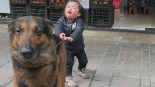 Pengasuh anjing Tian Ge yang membawa bayi hingga pingsan