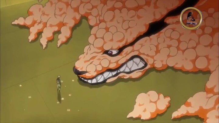 Naruto completely conquered the power of the nine-tailed beasts, fighting all the tailed beasts