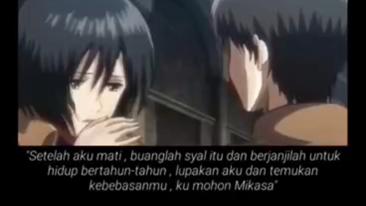 kata kata terakhir Eren Kepada Mikasa ,See you Later Eren🕊️🕊️🥀🥀