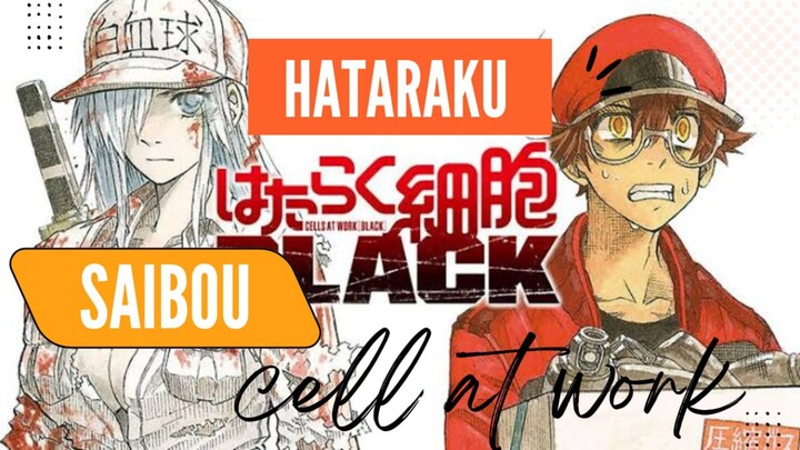 7 Fakta Menarik Hataraku Saibou