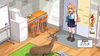 My Deer Friend Nokotan - episode 3