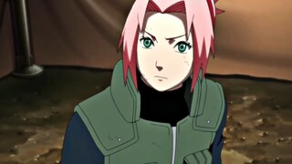 Sakura: Pigs don't have hands, idiot...