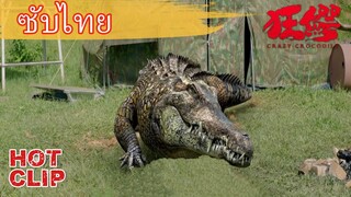 Clip | ซับไทย | จระเข้โจมตีค่ายอย่างบ้าคลั่ง | ฝ่าฝูง โคตรไอ้เข้คลั่ง (Crazy Crocodile)