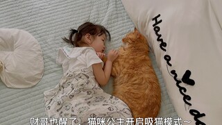 猫咪公主睡醒后开启吸猫模式，猫咪们纷纷被征服