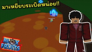 Mr.5 ออกล่าค่าหัวกับการวางระเบิด..!!!! [Blox Fruits]