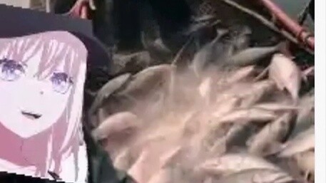 【MyGo】Chuhua: Tolong biarkan aku kembali memancing. Aku tidak ingin merebut Xiaoxiang darimu.