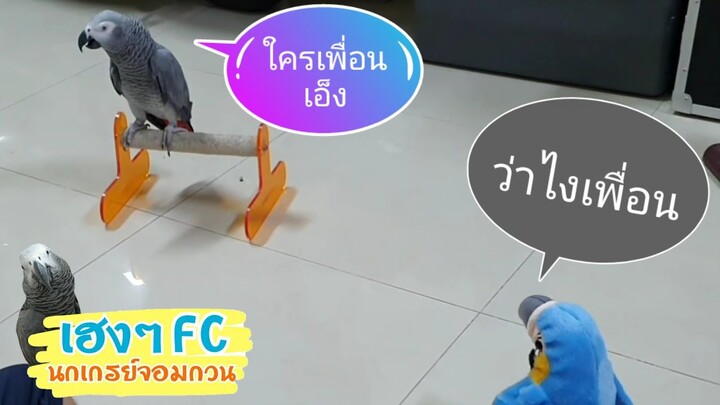 EP.378 พี่เฮงถึงต้องหนี เมื่อเพื่อนใหม่พี่เฮง พูดเก่งกว่า