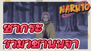 ซากุระ รวมวิชานินจา