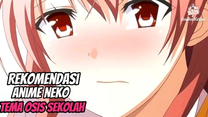 Rekomendasi Anime Nekopoi dengan Tema Osis Sekolah