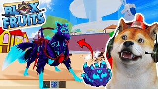 AKHIRNYA KITSUNE OBIT EVOLUSI MENJADI KUAT! - Roblox Blox Fruits #2