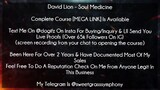David Lion Course Soul Medicine download