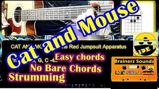 Cat and Mouse by The RJ Apparatus | Guitar Tutorial | Side A - Chords Struming