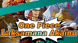 Keadilan Absolut Laksamana Akainu | One Piece