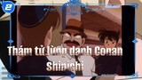 Thám tử lừng danh Conan
Shinichi_2