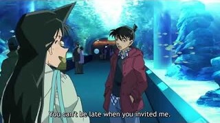 Shinichi x Ran Mouri Memories