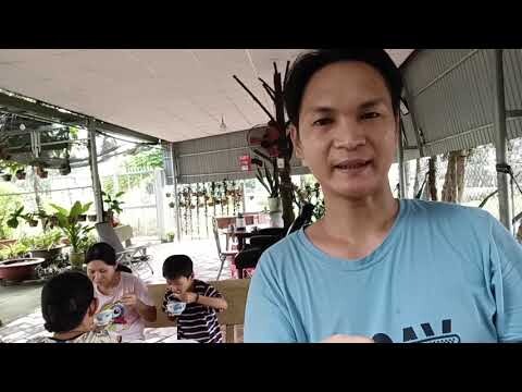 Vlog Ẩm Thực, Vợ Làm Món Canh Khổ Qua Ăn Không Đắng Ngon Quá| Ẩm Thực & Gia Đình - Family Vlog #16.