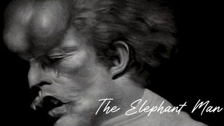 The Elephant Man (1980) subtitle Indonesia full movie