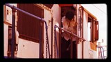 Trainwreck- Train To Busan [editdramas]