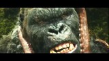 Kong：Skull Island|คิงคอง vs. ปลาหมึก