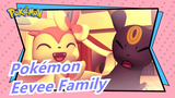 [Pokémon/3D] Eevee Family, First Encounter