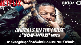 3 เหตุผลอยากให้ดู Animals on the Loose A You vs Wild Movie ดูเถอะพี่ขอ Why We Watch Netflix