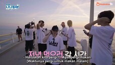 NANA TOUR WITH SEVENTEEN EP 6-1 INDO SUB WEVERSE VERSION