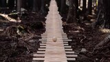 [Buatan Tangan]Xylophone di Hutan Kyushu, Jepang